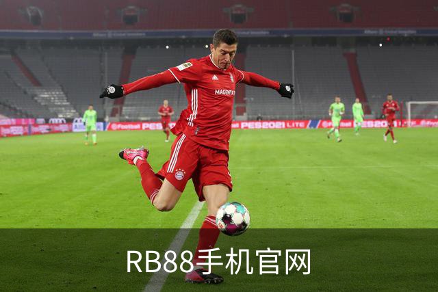 RB88手机官网公司简介图片